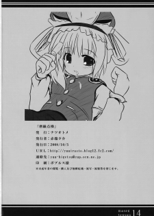 (SC41) [Natsu Otome (Akabashi Yuusuke)] Masen Tensou (Touhou Project) - page 14