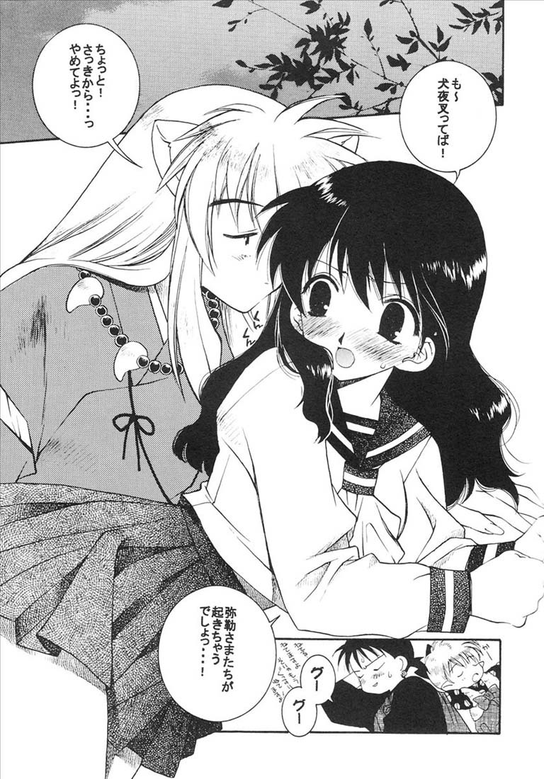 (C65) [Totsugeki Wolf (Yuhki Mitsuru)] Yasha no Mori (Inuyasha) page 14 full