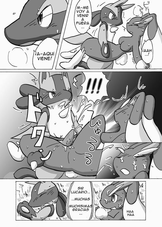 Lucario Loppuny ESP page 13 full