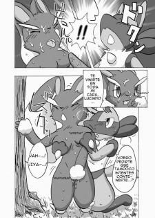 Lucario Loppuny ESP - page 10