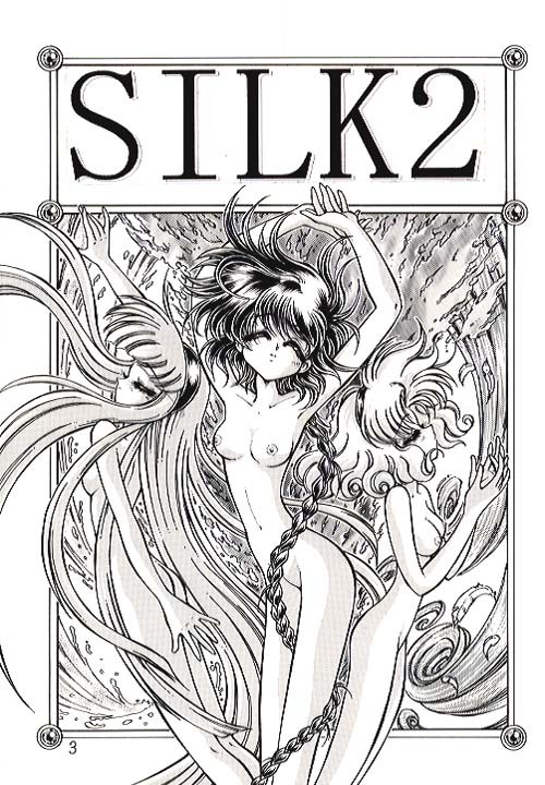 (C50) [Ryuurei Tennyo (Mizutani Hitomi)] Silk 2 (Magic Knight Rayearth) [Incomplete] page 2 full