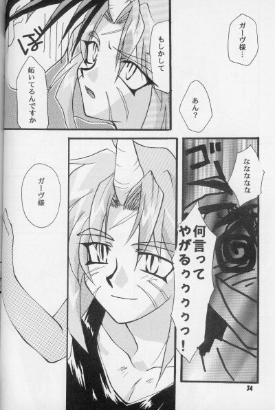 (HaruCC3) [Kodairyuu Hogo no Kai Nishikamata Shibu (Ban Nakko)] Neo Romance (Slayers) page 32 full