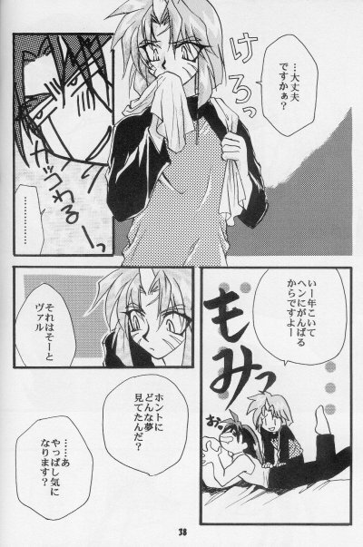 (HaruCC3) [Kodairyuu Hogo no Kai Nishikamata Shibu (Ban Nakko)] Neo Romance (Slayers) page 36 full