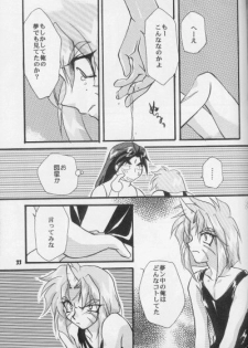 (HaruCC3) [Kodairyuu Hogo no Kai Nishikamata Shibu (Ban Nakko)] Neo Romance (Slayers) - page 31