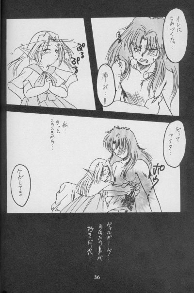 (C56) [Anikigaiku] Jijitsu Mukon (Slayers) page 35 full