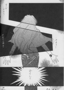 (C56) [Anikigaiku] Jijitsu Mukon (Slayers) - page 23