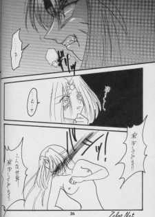 (C56) [Anikigaiku] Jijitsu Mukon (Slayers) - page 25