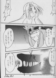 (C56) [Anikigaiku] Jijitsu Mukon (Slayers) - page 26