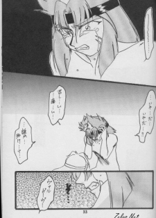 (C56) [Anikigaiku] Jijitsu Mukon (Slayers) - page 32