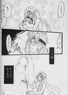 (C56) [Anikigaiku] Jijitsu Mukon (Slayers) - page 33