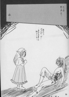 (C56) [Anikigaiku] Jijitsu Mukon (Slayers) - page 34