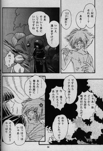 [Shizuka] Nightmare (Slayers) page 29 full