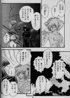 [Shizuka] Nightmare (Slayers) - page 29