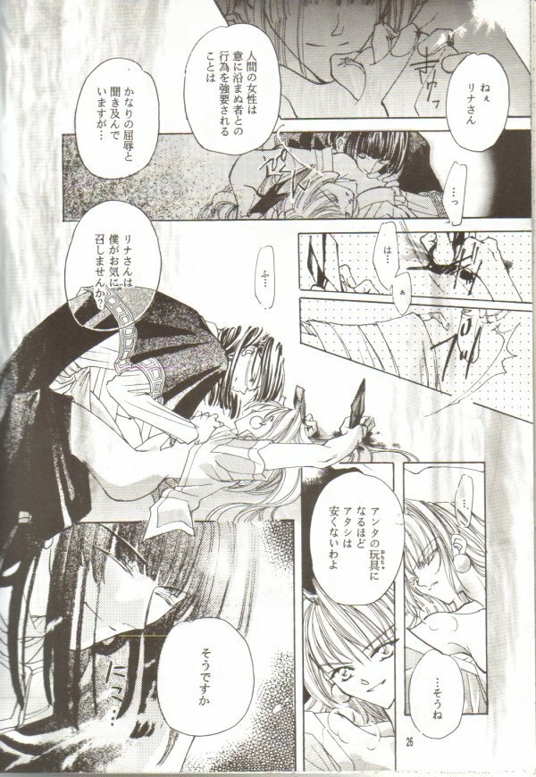 (C55) [Y.M. Sensha (Matsumoto Himiko)] Ladies and Gentlmen (Slayers) page 25 full