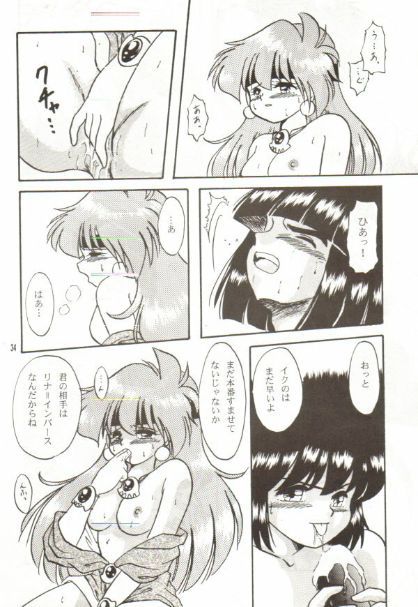 (C55) [Y.M. Sensha (Matsumoto Himiko)] Ladies and Gentlmen (Slayers) page 32 full