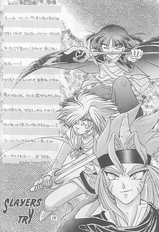 [A.K.Remix (Kannagi Karma, Watabe Ponri)] Otameshi Baca Bon! (Slayers) page 11 full