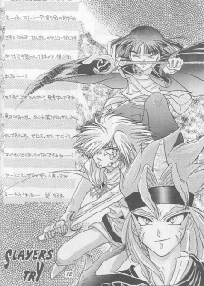 [A.K.Remix (Kannagi Karma, Watabe Ponri)] Otameshi Baca Bon! (Slayers) - page 11