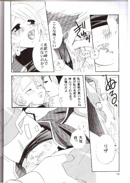 [Nekonokandume (aska)] Honoo no Hana (Fullmetal Alchemist) page 13 full