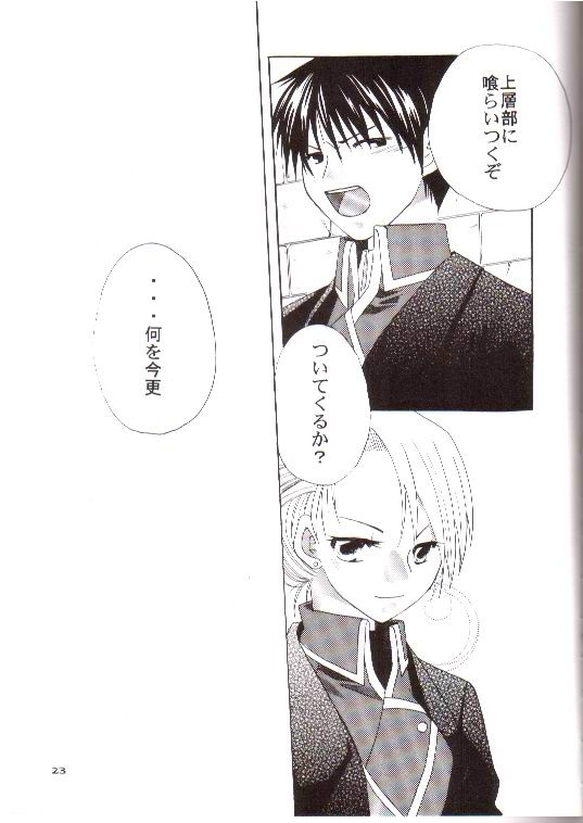 [Nekonokandume (aska)] Honoo no Hana (Fullmetal Alchemist) page 22 full