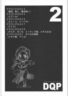 [Machwing (Raiun)] DQP Sairoku Hon (Dragon Quest) - page 21