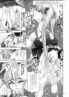 (C77) [Sekai Kakumei Club (Ozawa Reido)] Mono ni Naru Mesu Buta no Kara da. (DREAM C CLUB) - page 28