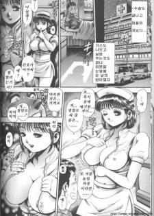 [Chataro] Nurse to Asobou [Korean] - page 6