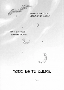 [TOP SECRET (Akatsuki Keiko)] Tobenai Tori to Toge no Hana - Earthbound bird and flower of thorn (Axis Powers Hetalia) [Spanish] [Mirus Mayhem] - page 3