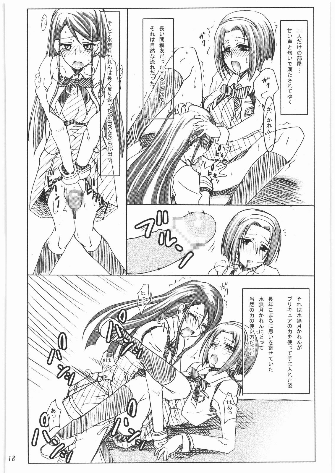 (C73) [Pe & Pi (Makinosaka Shinichi)] Girl Meets Friends (Yes! Precure 5) page 17 full