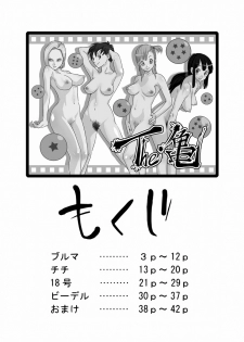 [Gujira 4 Gou (Gujira)] The Kame (Dragon Ball Z) [Italian] [Hiso Hentai] - page 2