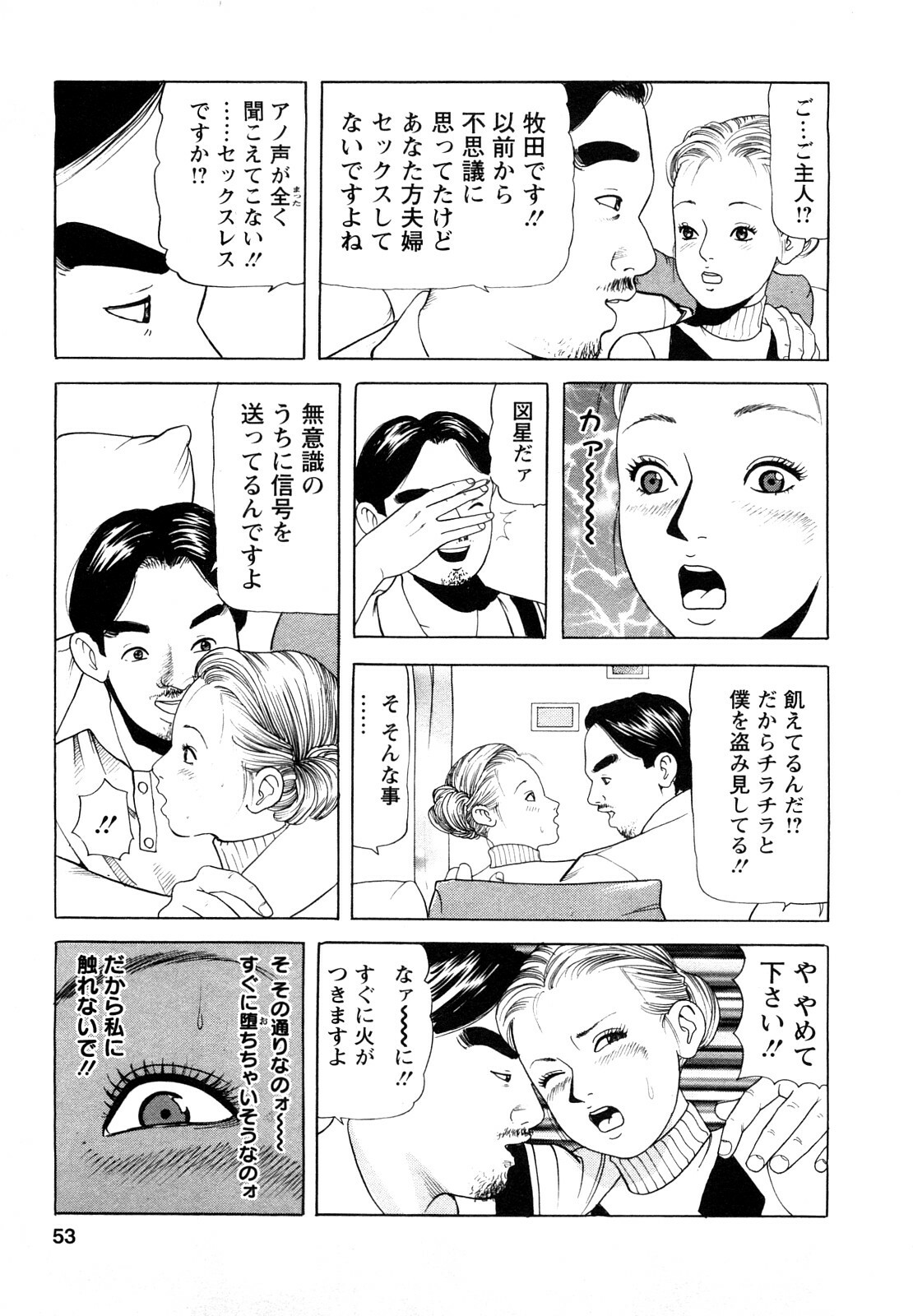 [Tomoda Hidekazu] Hitoduma. Kanbi na Ura Seikatsu page 53 full