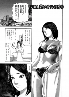 [Tomoda Hidekazu] Hitoduma. Kanbi na Ura Seikatsu - page 5