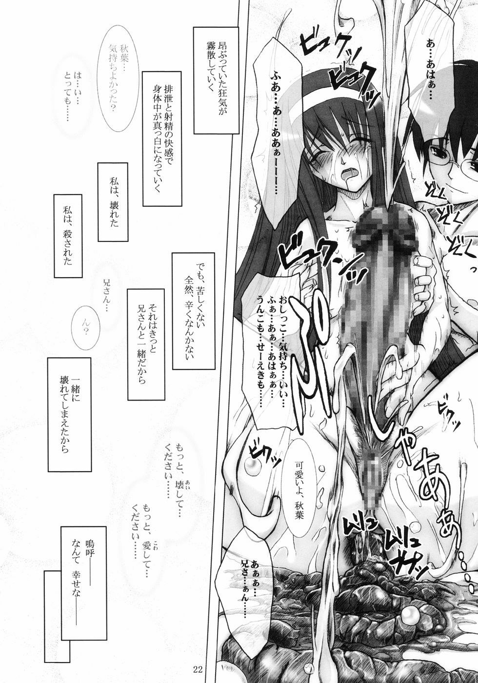 (C66) [Garyuu-Chitai (TANA)] Love Maniac Love (Tsukihime) page 21 full