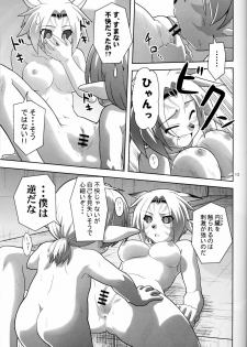 (C77) [Circle Credit (Akikan)] Irojiro Mithran Tarutaru (Final Fantasy XI) - page 12
