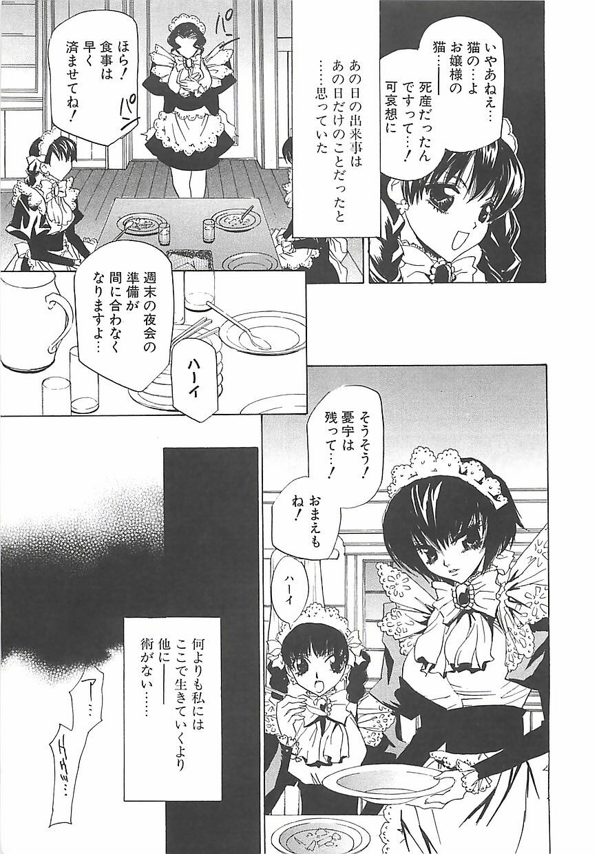 [Takamatsu Makoto] Biyaku Maid -Yuu- page 44 full