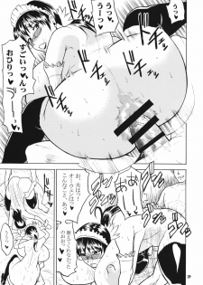 (C76) [Kancho Hatto (Wakatsuki)] Bukiya Hitoduma Meidoka Nikki (Queen's Blade) - page 28