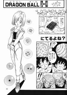 (C71) [Rehabilitation (Garland)] DragonBall H Maki San (Dragon Ball Z) - page 34