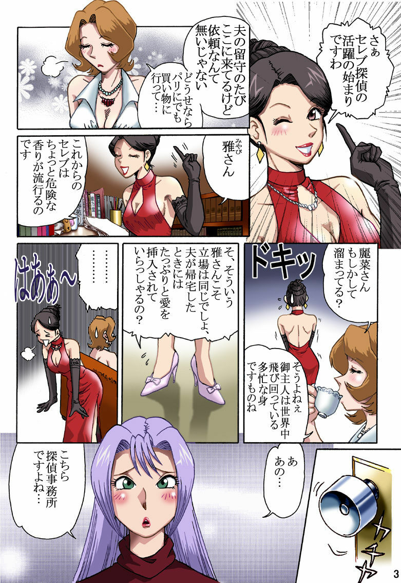 [Rojiurakan (HIRO)] Celeb Tantei - Kiken-na Irai page 2 full