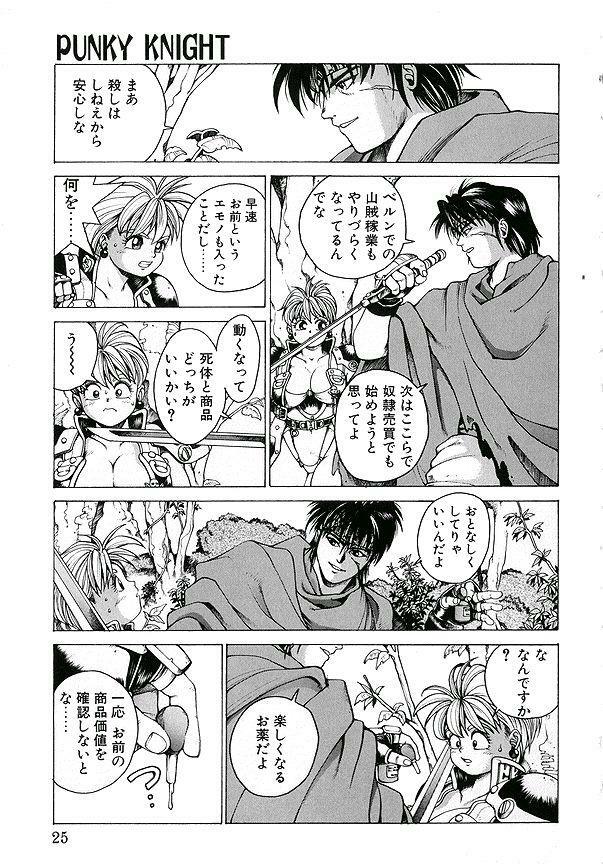 [Youhei Kozou] Punky Knight ~Pinky Phaia~ page 14 full