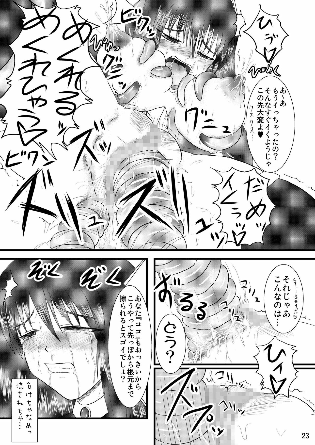 [FONETRASON (Ryutou)] Shield Knight Elsain Vol.2 Nightmare Agitator page 23 full