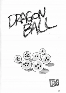 (C49) [Oiwaidou (Iwasaki Tatsuya)] PREY OF BIRD (Dragon Ball Z) - page 31
