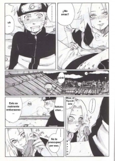 (SC29) [PETS (rin, kuro, may)] Nisemono (Naruto) [Spanish] [javiert239] - page 14