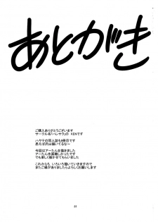 (C77) [HARESAKU (KEN)] Aa-tan no Yuuwaku (Hayate no Gotoku!) - page 24