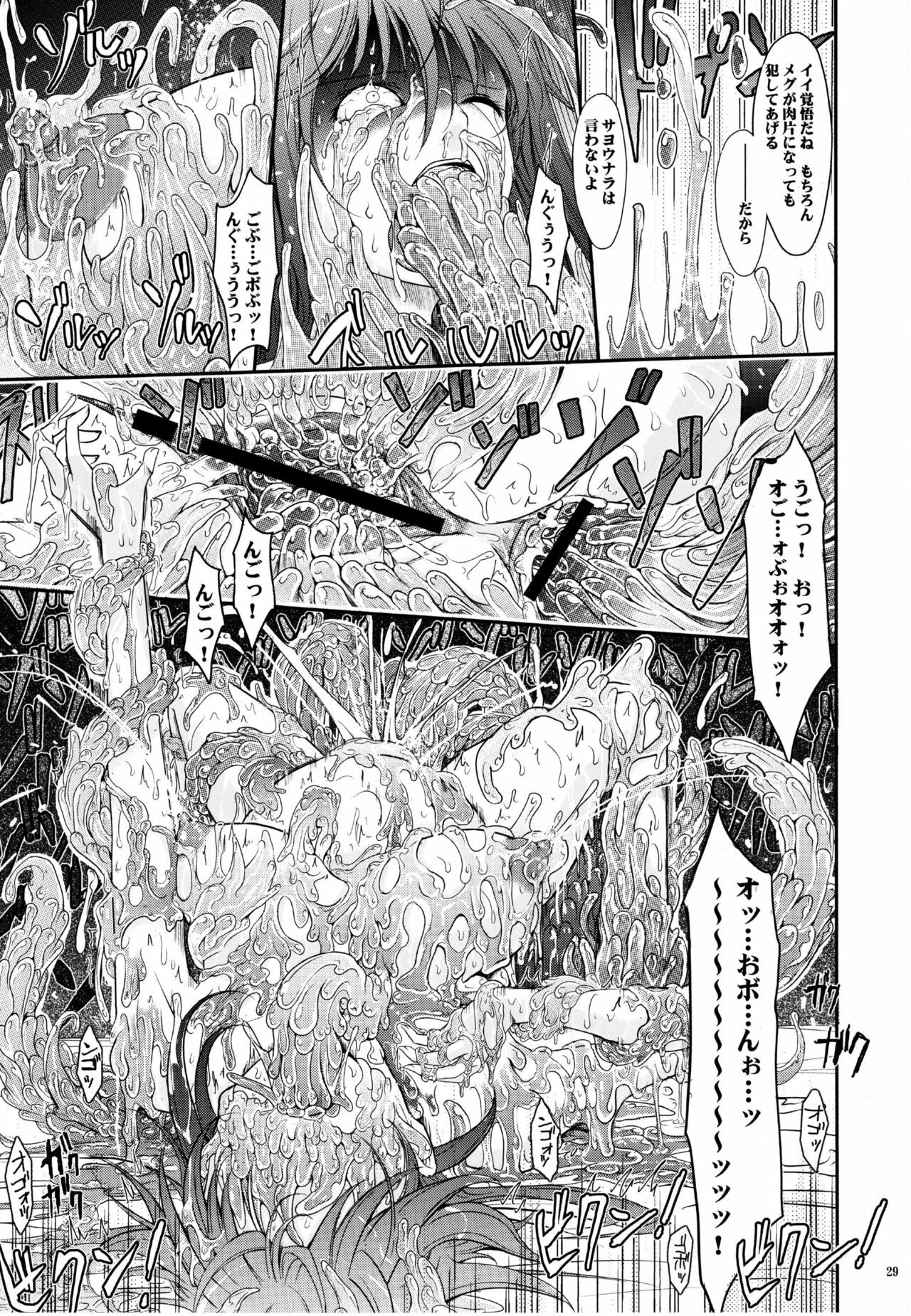 (C77) [Garyuh-Chitai (TANA)] Touchuu Kasou (Mahou Shoujo Ai) page 28 full