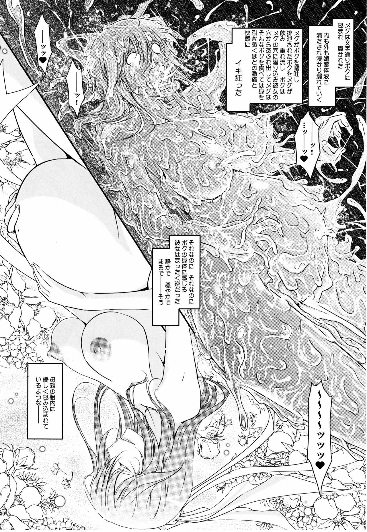 (C77) [Garyuh-Chitai (TANA)] Touchuu Kasou (Mahou Shoujo Ai) page 29 full