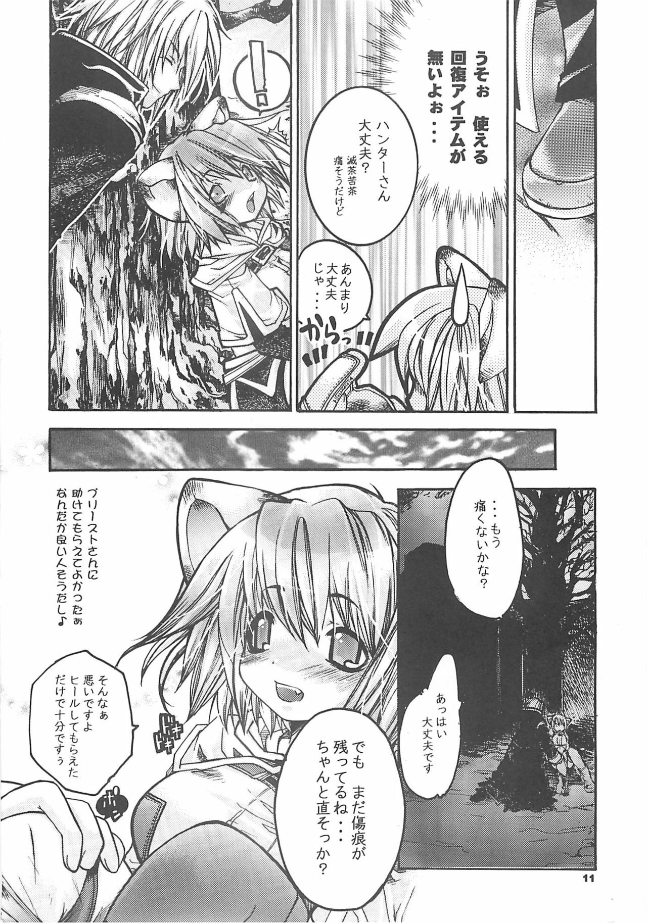 [SEINANSEINI KAGAYAKERUNOHOSHI] Yawa kore. (Ragnarok Online) page 10 full