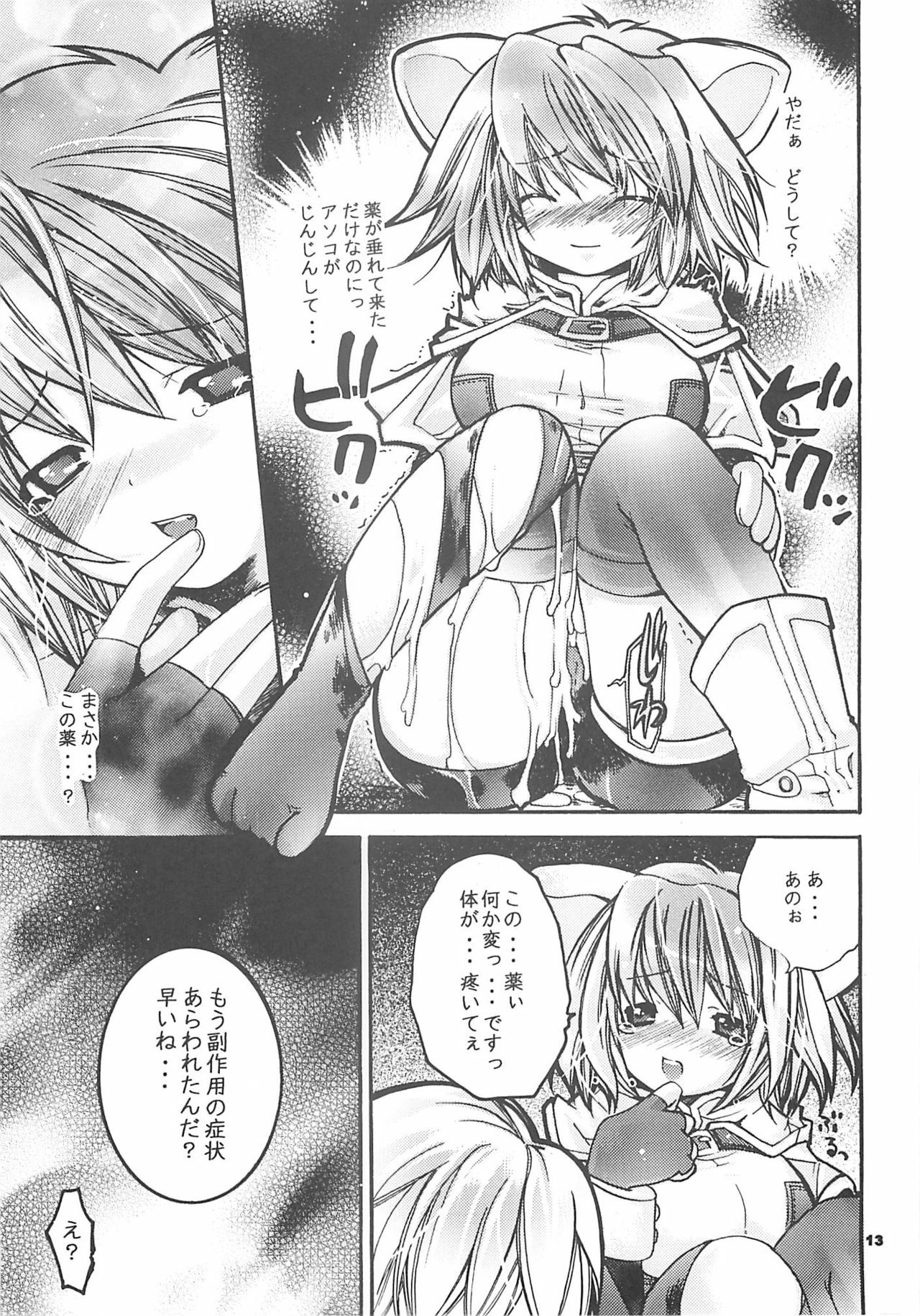 [SEINANSEINI KAGAYAKERUNOHOSHI] Yawa kore. (Ragnarok Online) page 12 full