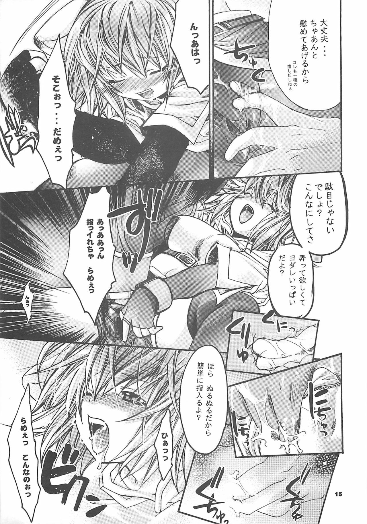 [SEINANSEINI KAGAYAKERUNOHOSHI] Yawa kore. (Ragnarok Online) page 14 full