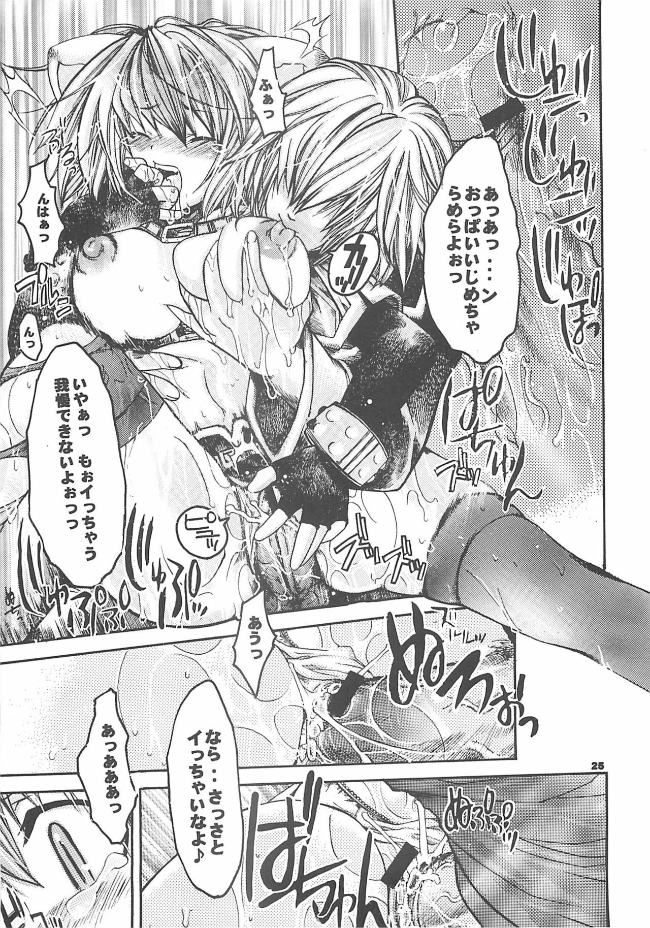 [SEINANSEINI KAGAYAKERUNOHOSHI] Yawa kore. (Ragnarok Online) page 24 full