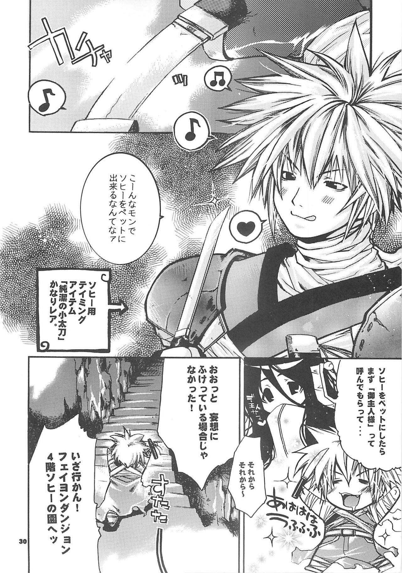 [SEINANSEINI KAGAYAKERUNOHOSHI] Yawa kore. (Ragnarok Online) page 29 full