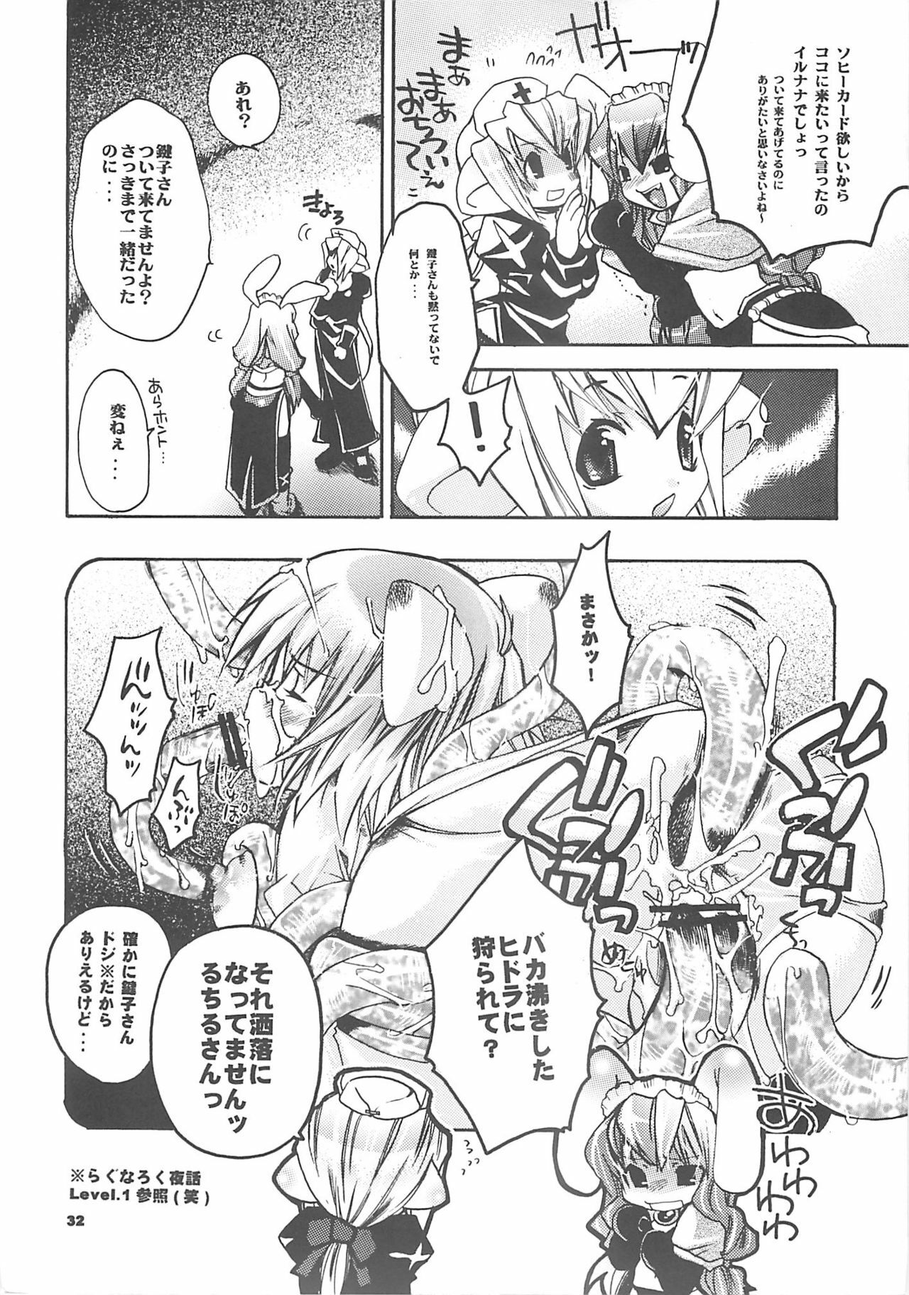 [SEINANSEINI KAGAYAKERUNOHOSHI] Yawa kore. (Ragnarok Online) page 31 full